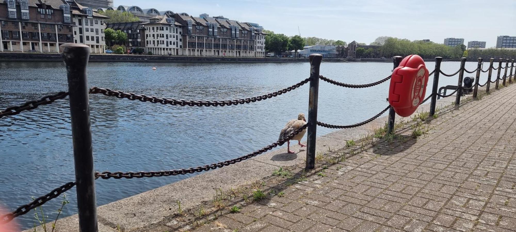 Riverside 3Br With Easy Transport 20Mins To City Centre London Eksteriør bilde